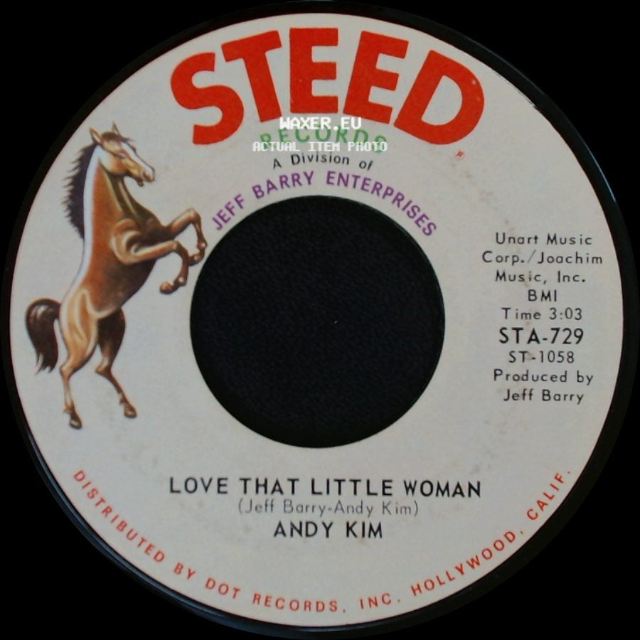 Andy Kim - Love That Little Woman / Be My Baby side A