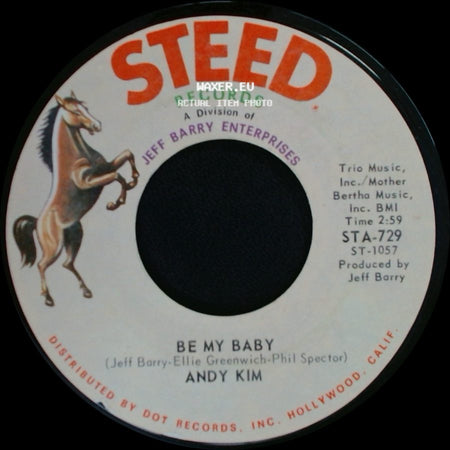 Andy Kim - Be My Baby / Love That Little Woman side A