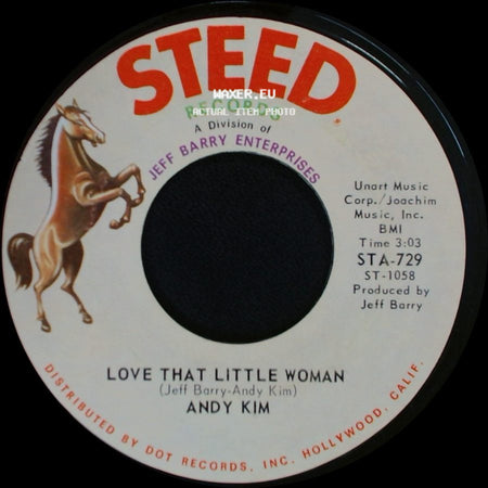Andy Kim - Be My Baby / Love That Little Woman side B