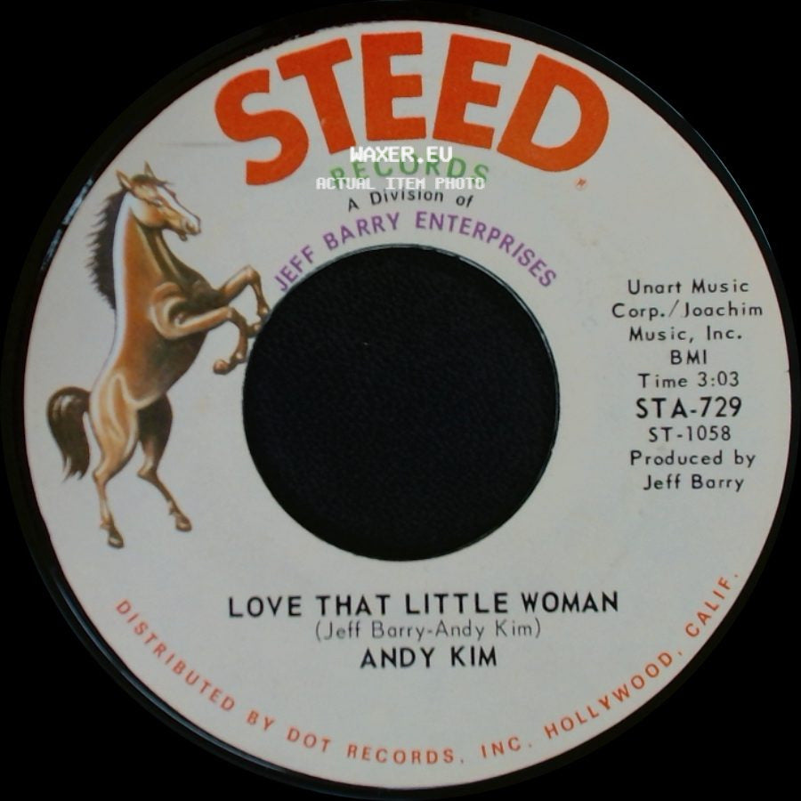 Andy Kim - Be My Baby / Love That Little Woman side B