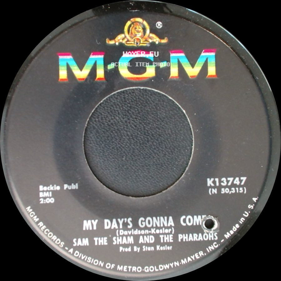 Sam The Sham And The Pharaohs - My Day's Gonna Come / Black Sheep side A