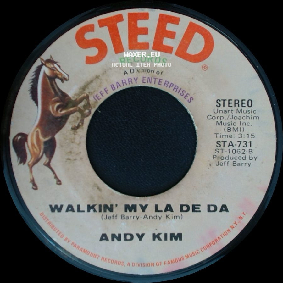 Andy Kim - I Wish I Were / Walkin' My La De Da side B