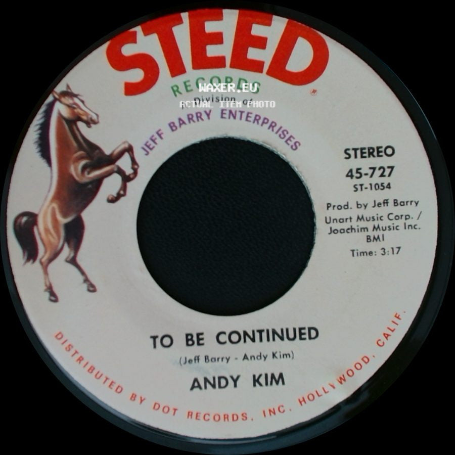 Andy Kim - It's Your Life / To Be Continued side B