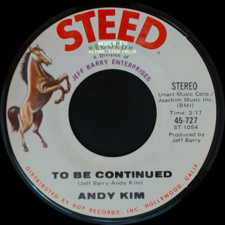 Andy Kim - It's Your Life / To Be Continued side B