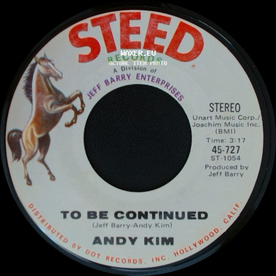 Andy Kim - To Be Continued / It's Your Life side A