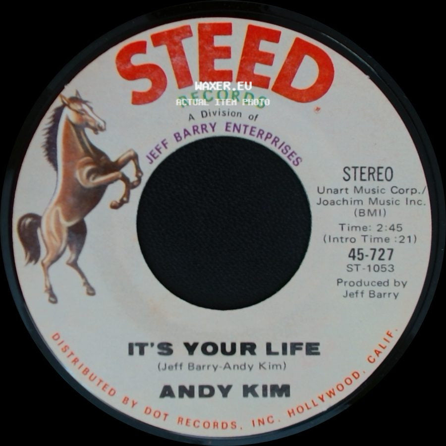 Andy Kim - To Be Continued / It's Your Life side B