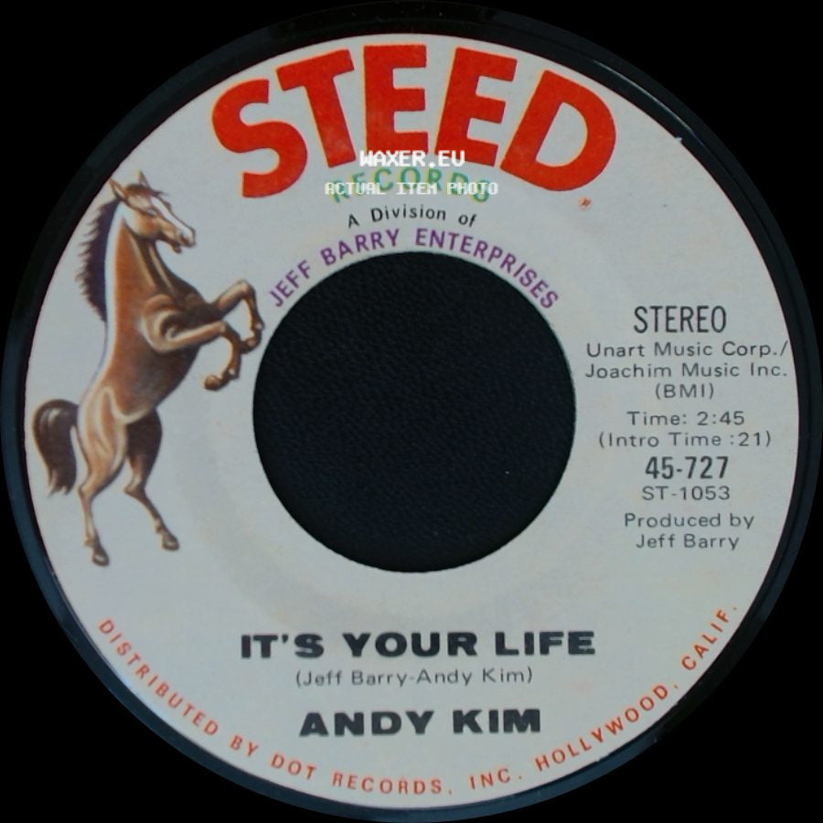 Andy Kim - It's Your Life / To Be Continued side A
