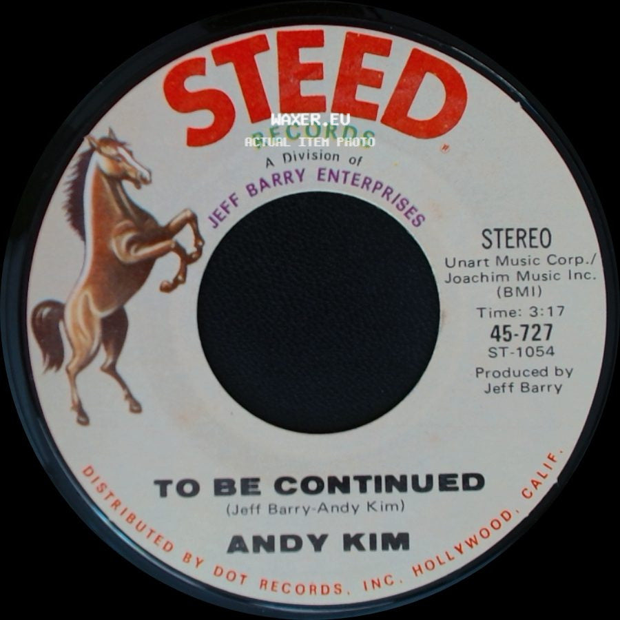 Andy Kim - It's Your Life / To Be Continued side B