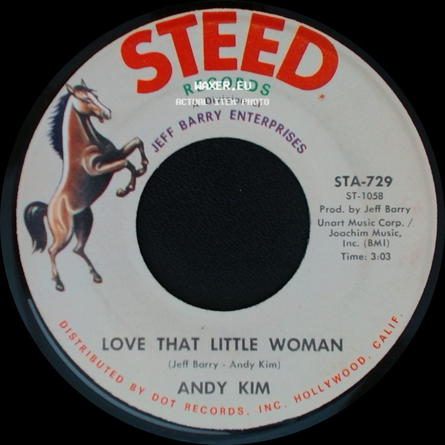 Andy Kim - Love That Little Woman / Be My Baby side A