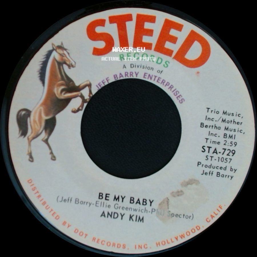 Andy Kim - Be My Baby / Love That Little Woman side A