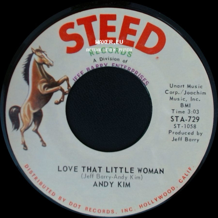 Andy Kim - Be My Baby / Love That Little Woman side B