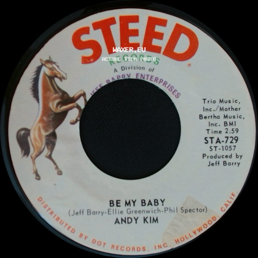 Andy Kim - Be My Baby / Love That Little Woman side A