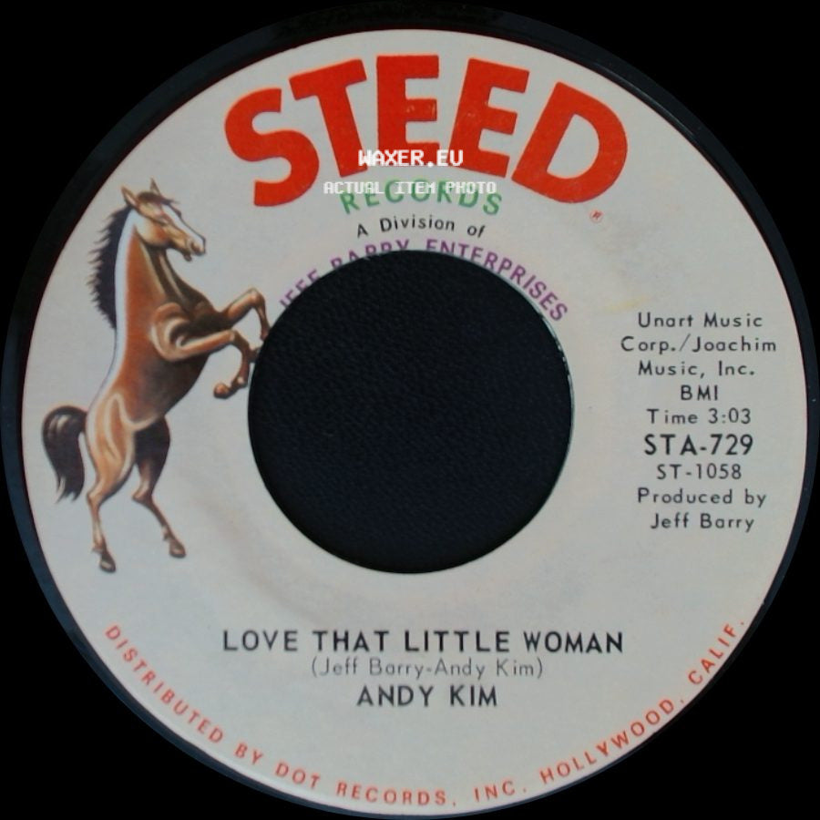 Andy Kim - Be My Baby / Love That Little Woman side B