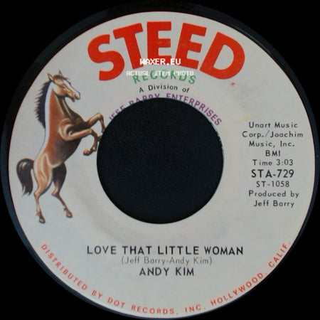 Andy Kim - Be My Baby / Love That Little Woman side B