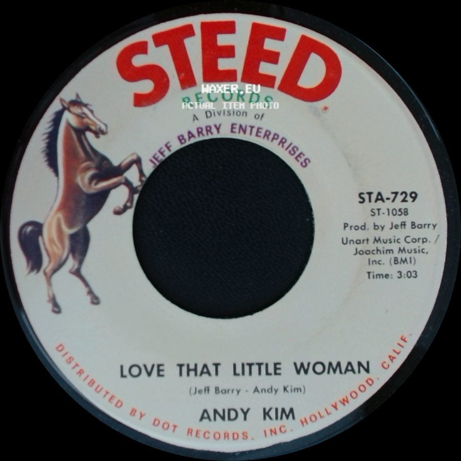 Andy Kim - Love That Little Woman / Be My Baby side A