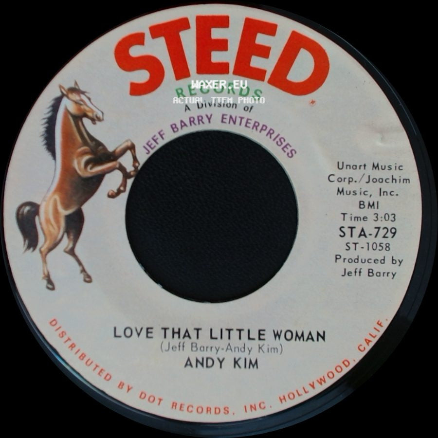 Andy Kim - Be My Baby / Love That Little Woman side B
