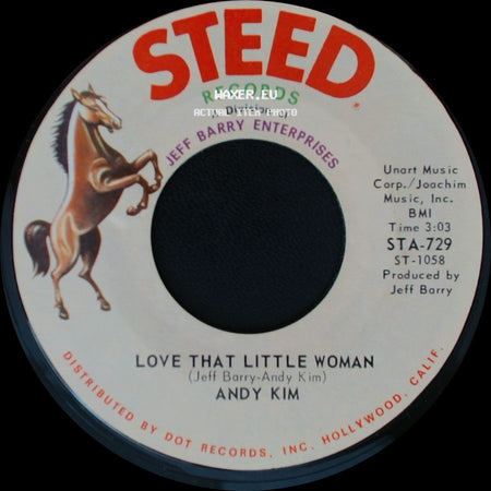 Andy Kim - Love That Little Woman / Be My Baby side A