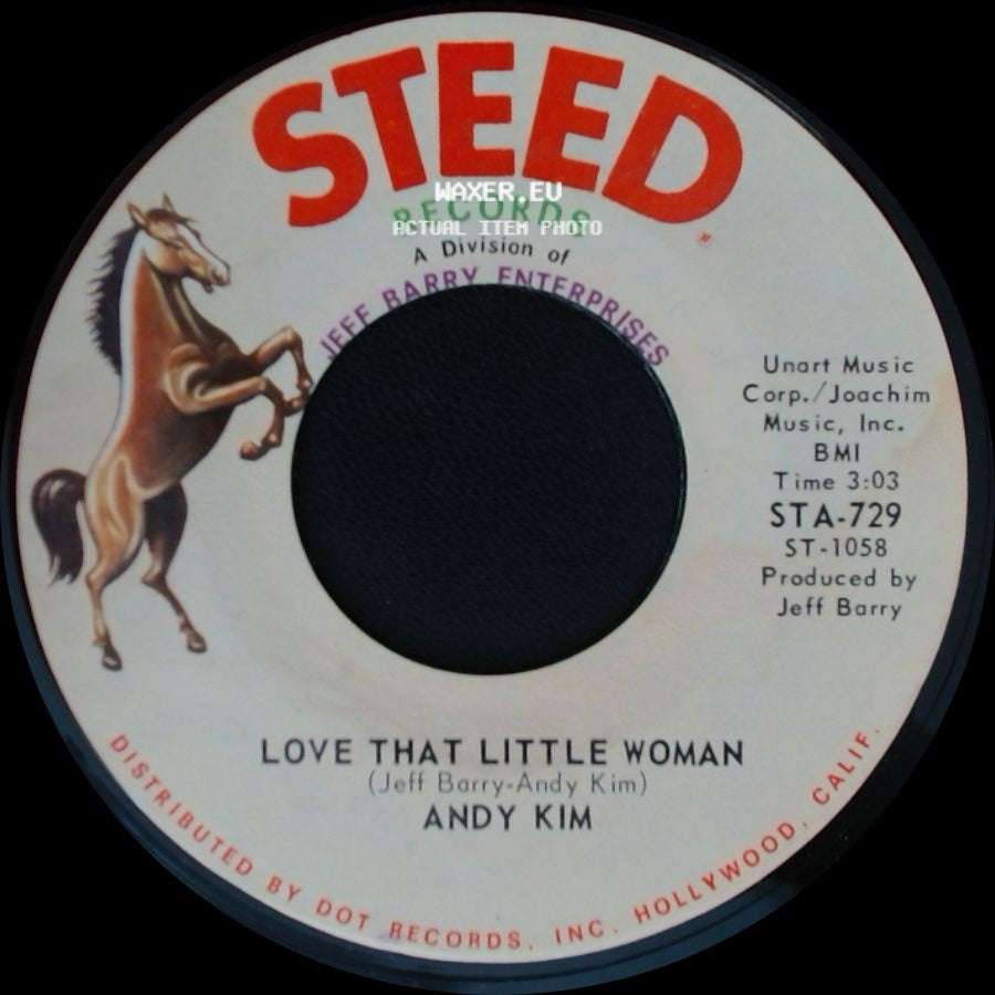 Andy Kim - Love That Little Woman / Be My Baby side A