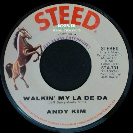 Andy Kim - Walkin' My La De Da / I Wish I Were side A