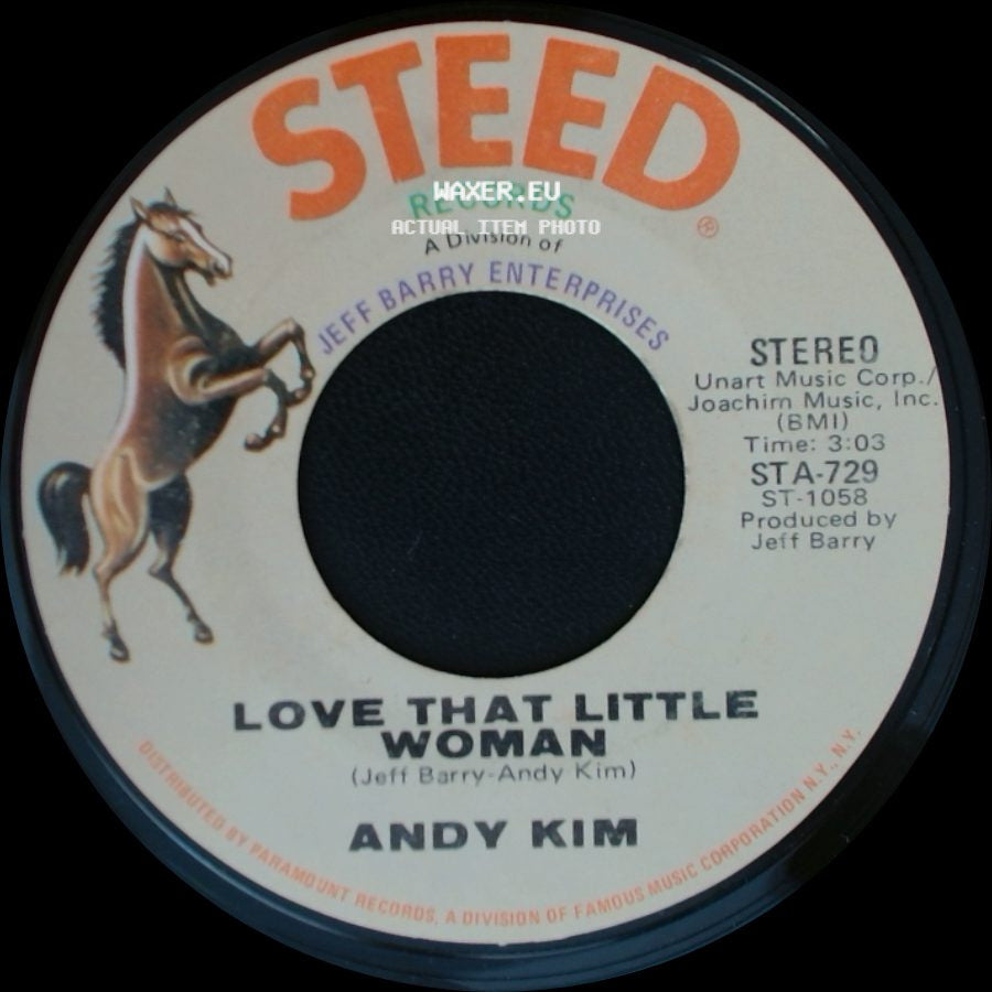 Andy Kim - Love That Little Woman / Be My Baby side A