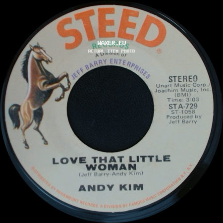 Andy Kim - Love That Little Woman / Be My Baby side A