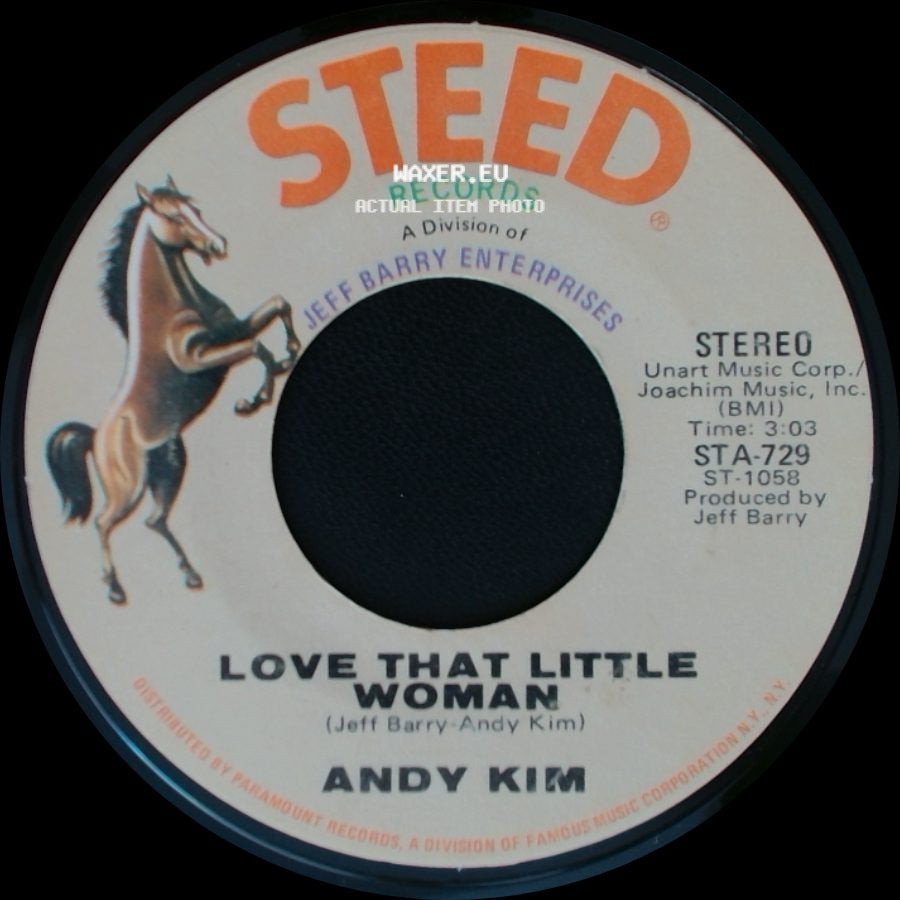 Andy Kim - Be My Baby / Love That Little Woman side B