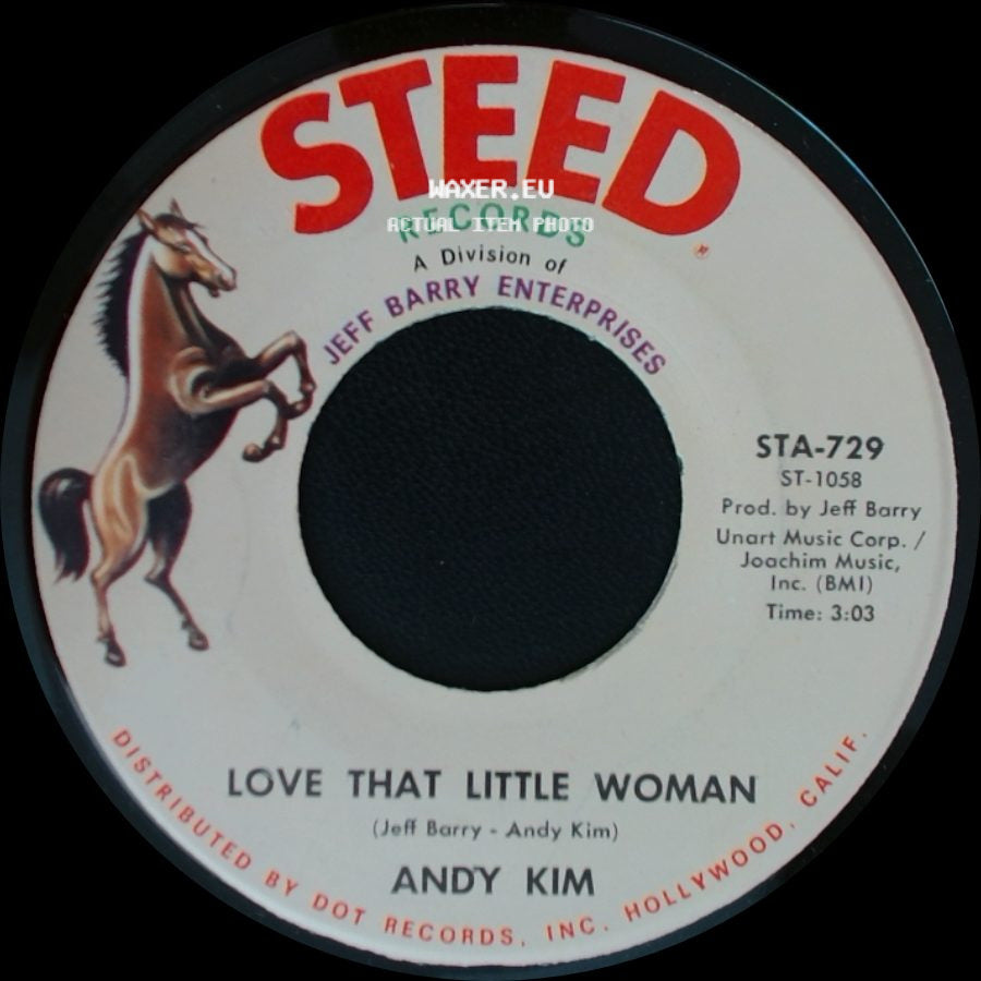 Andy Kim - Love That Little Woman / Be My Baby side A