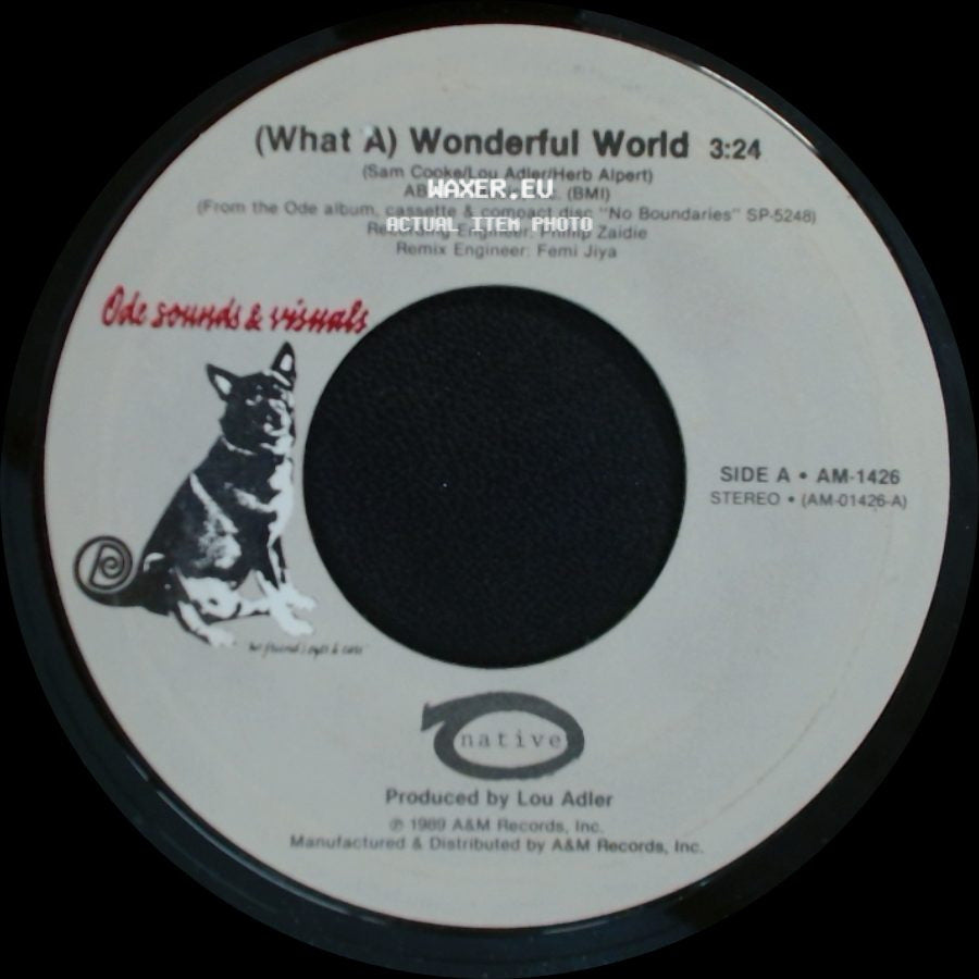 Unknown Artist - (What A) Wonderful World / Evidence side A