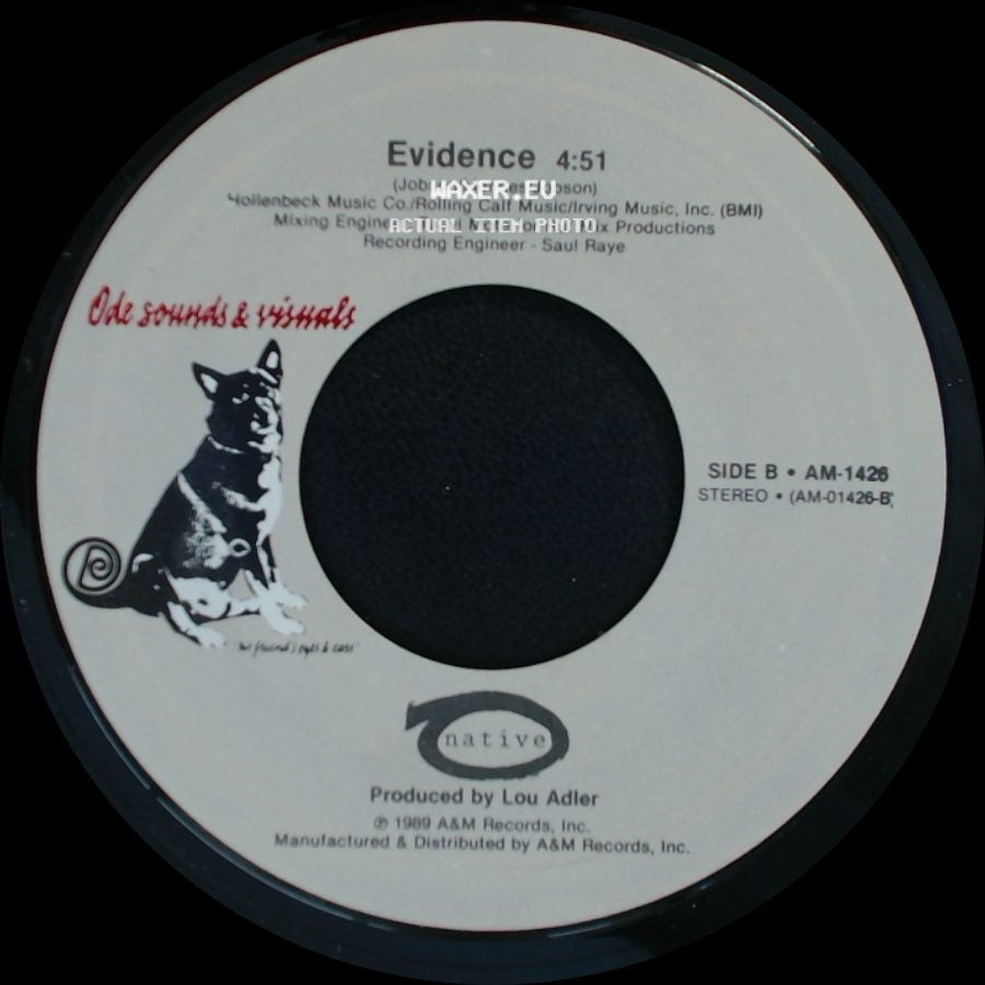 Unknown Artist - (What A) Wonderful World / Evidence side B