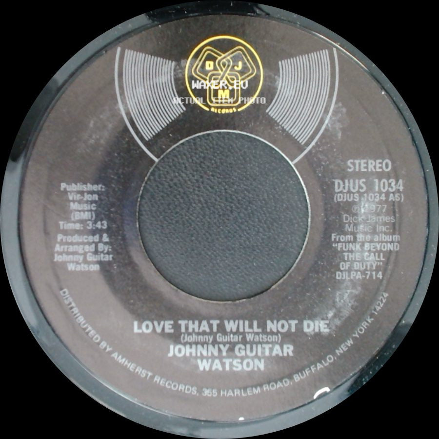 Johnny Guitar Watson - Love That Will Not Die / It's A Damn Shame side A