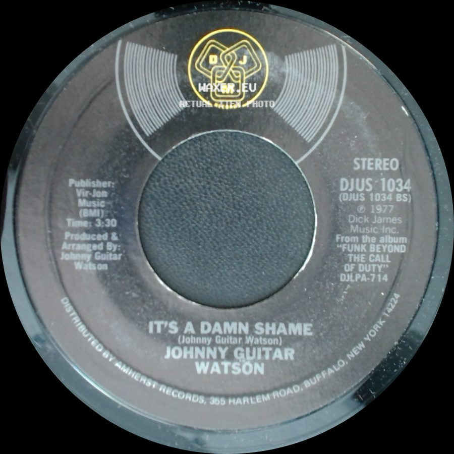Johnny Guitar Watson - Love That Will Not Die / It's A Damn Shame side B