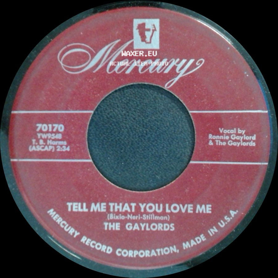 The Gaylords - Tell Me That You Love Me / Coquette side A