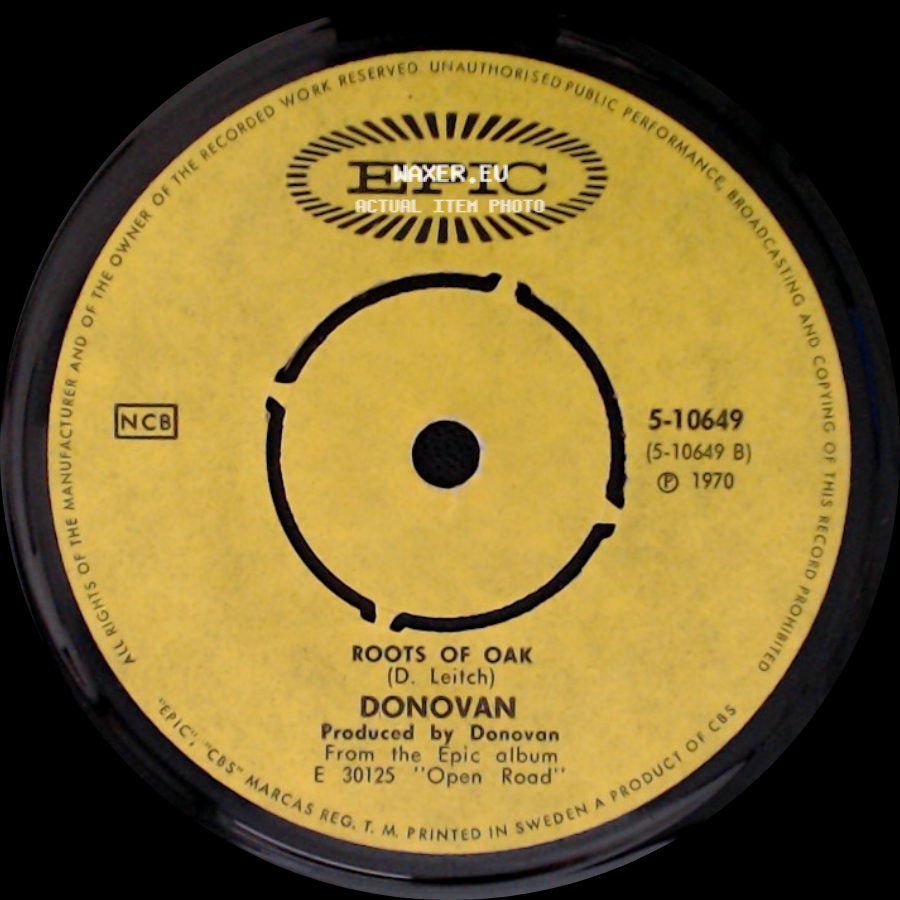 Donovan - Riki Tiki Tavi / Roots Of Oak side B