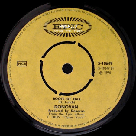 Donovan - Riki Tiki Tavi / Roots Of Oak side B