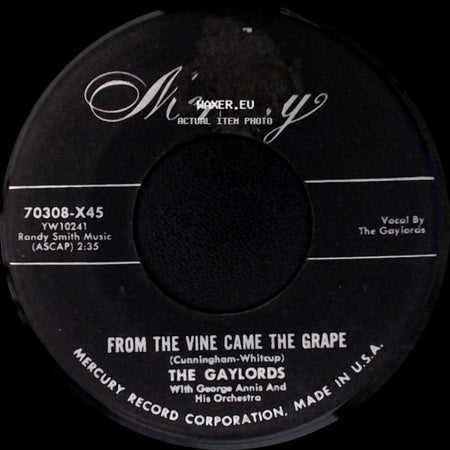 The Gaylords - From The Vine Came The Grape / Patzo For Pizza side A