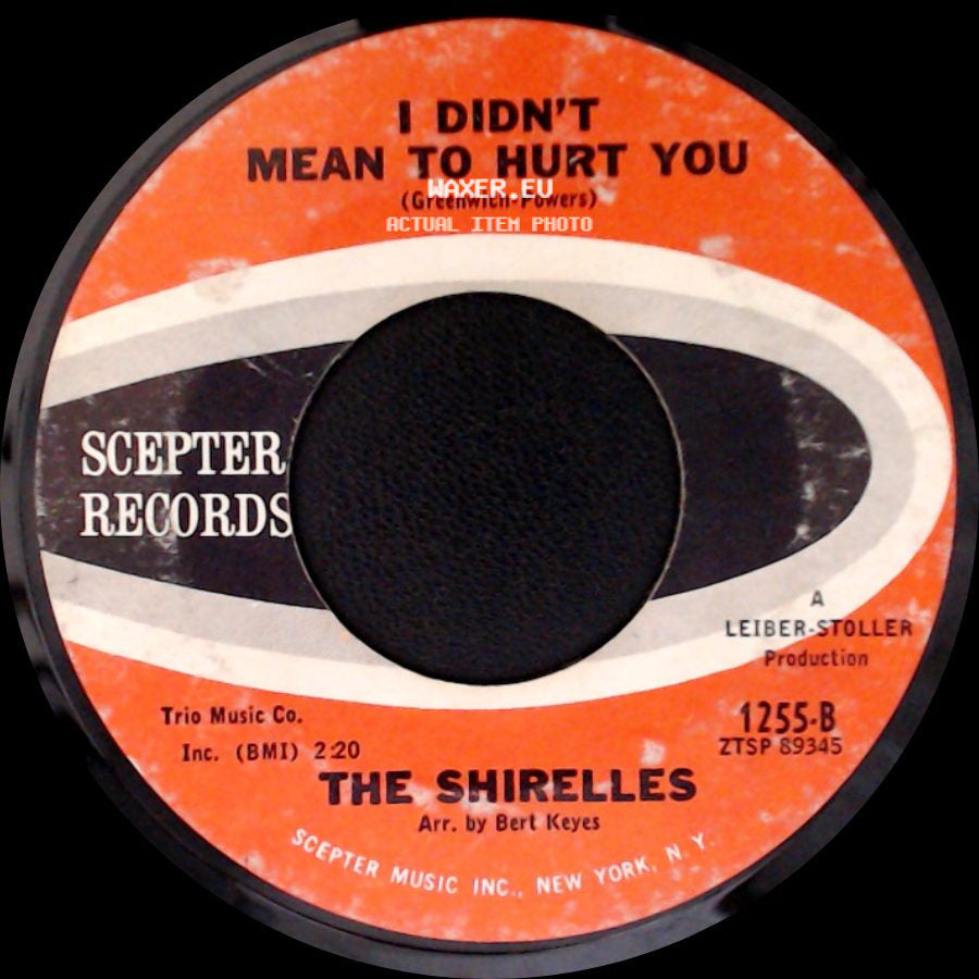 The Shirelles - I Didn't Mean To Hurt You / Don't Say Goodnight And Mean Goodbye side A