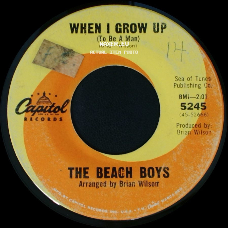 The Beach Boys - She Knows Me Too Well / When I Grow Up (To Be A Man) side B