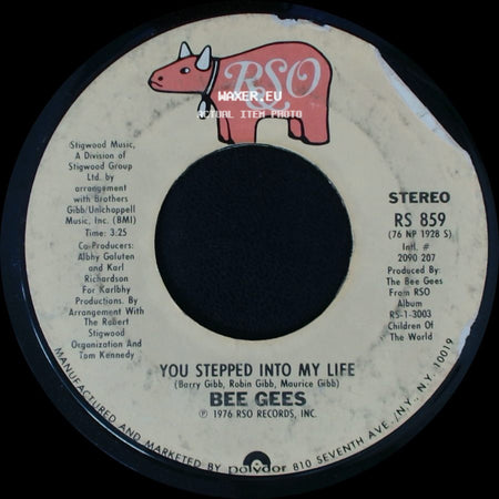 Bee Gees - Love So Right / You Stepped Into My Life side B