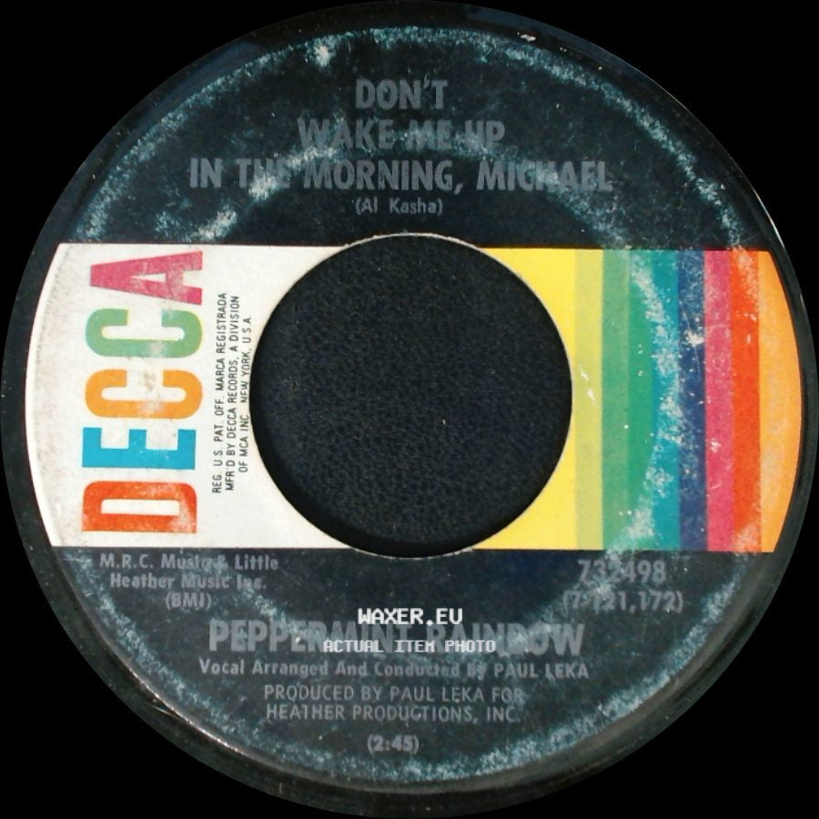 Peppermint Rainbow - Rosemary / Don't Wake Me Up In The Morning, Michael side B