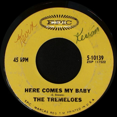 The Tremeloes - Here Comes My Baby / Gentleman Of Pleasure side A