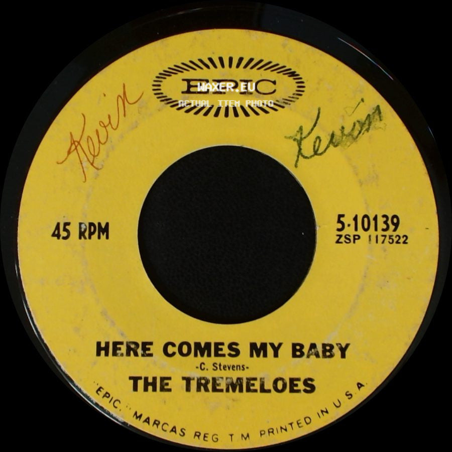 The Tremeloes - Here Comes My Baby / Gentleman Of Pleasure side A