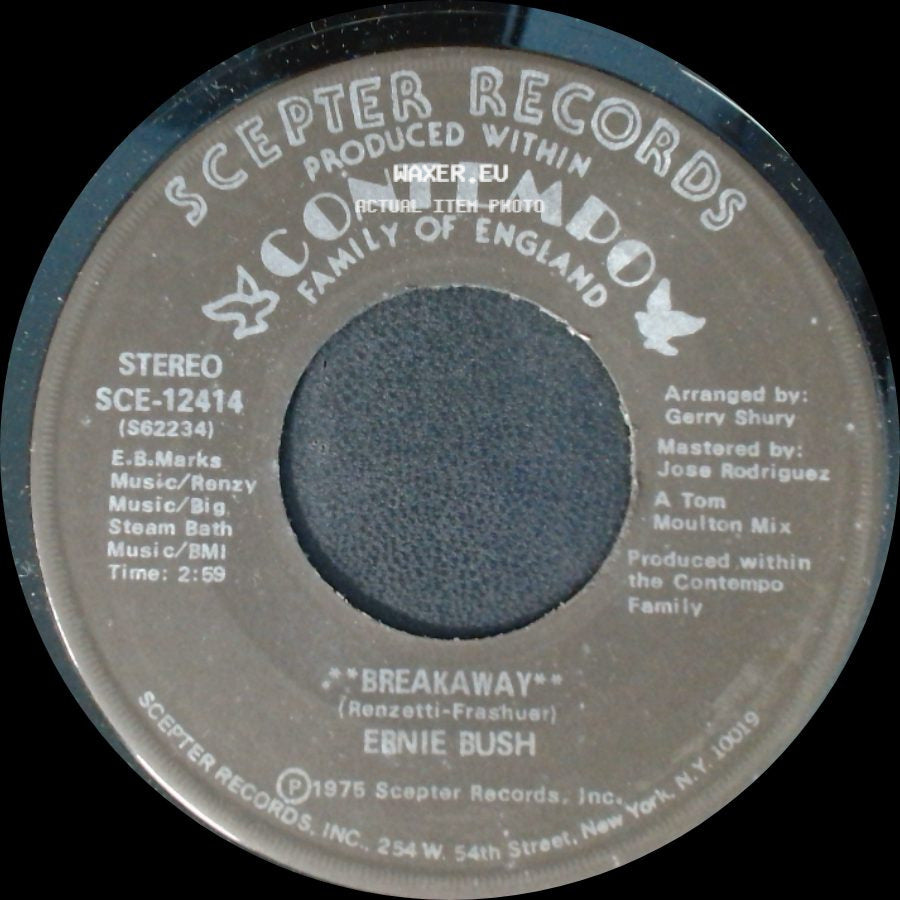Ernie Bush - Breakaway (Disco Version) / Breakaway side B