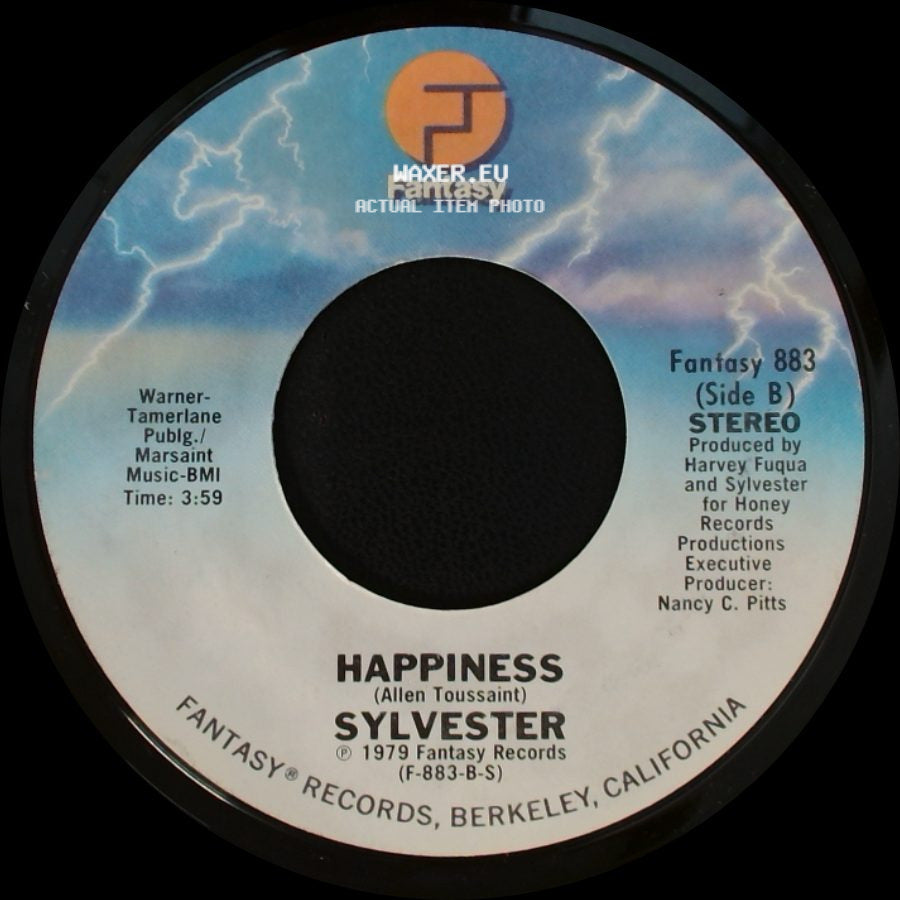 Sylvester - You Are My Friend / Happiness side B