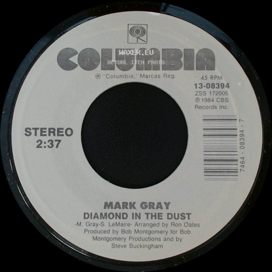 Mark Gray / Mark Gray And Tammy Wynette - Diamond In The Dust / Sometimes When We Touch side A