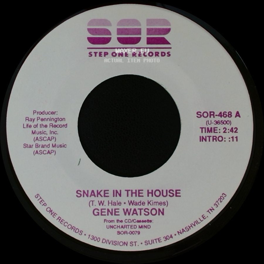 Gene Watson - Snake In The House / You Can't Believe A Thing I Say side A