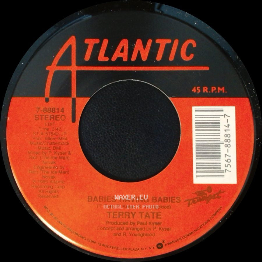 Terry Tate - Babies Having Babies / Babies Having Babies side B