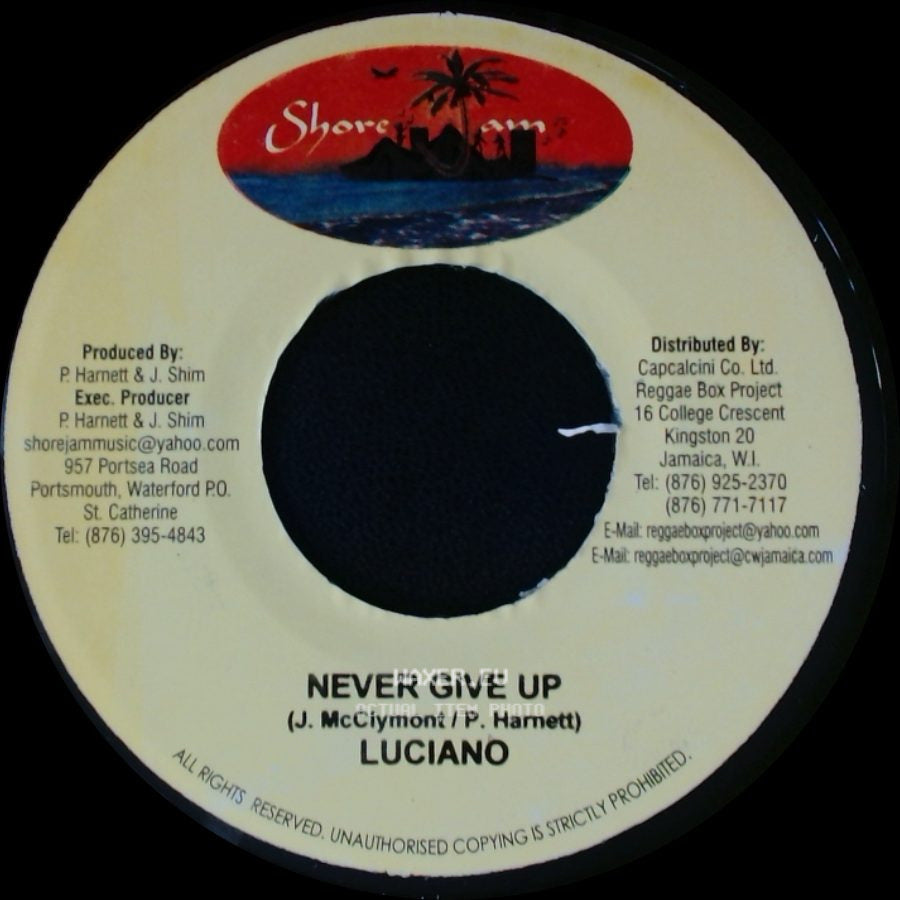 Luciano - Never Give Up / Riddim: Ruff Life side A