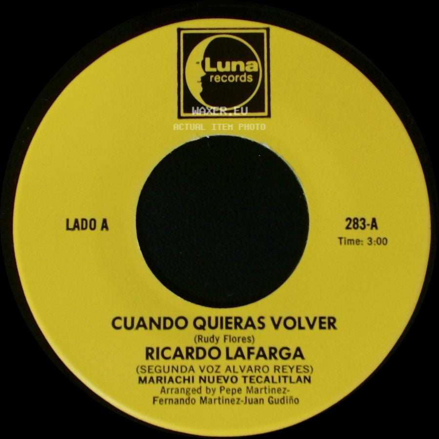 Ricardo Lafarga / Ricardo Lafarga Mariachi Nuevo Tecalitlan - Cuando Quieras Volver / Esa side A