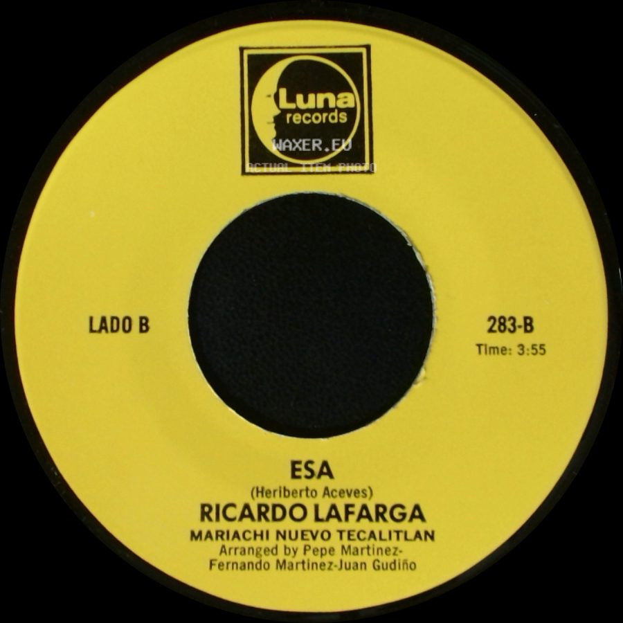 Ricardo Lafarga / Ricardo Lafarga Mariachi Nuevo Tecalitlan - Cuando Quieras Volver / Esa side B