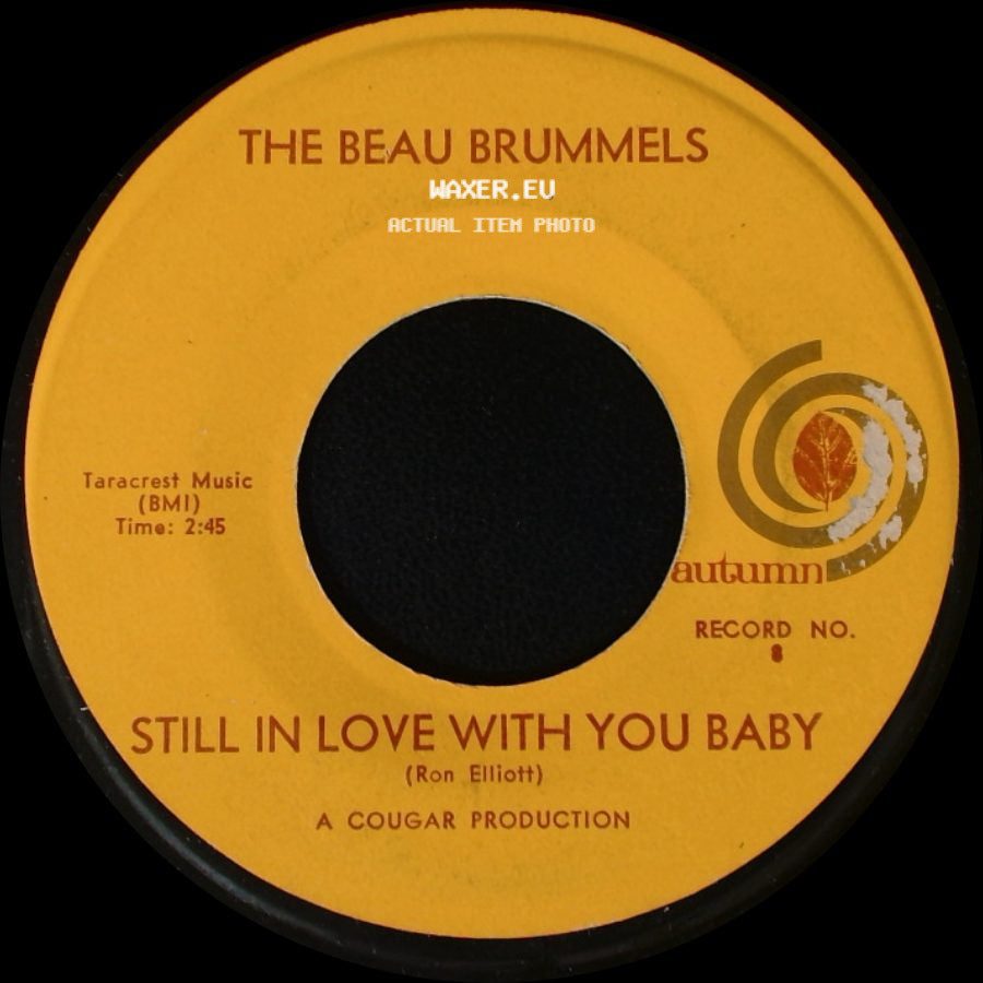 The Beau Brummels - Still In Love With You Baby / Laugh, Laugh side A